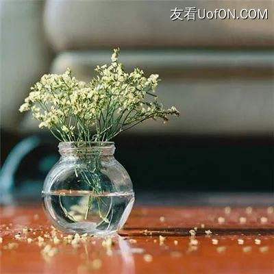 时空召唤taptap版本下载